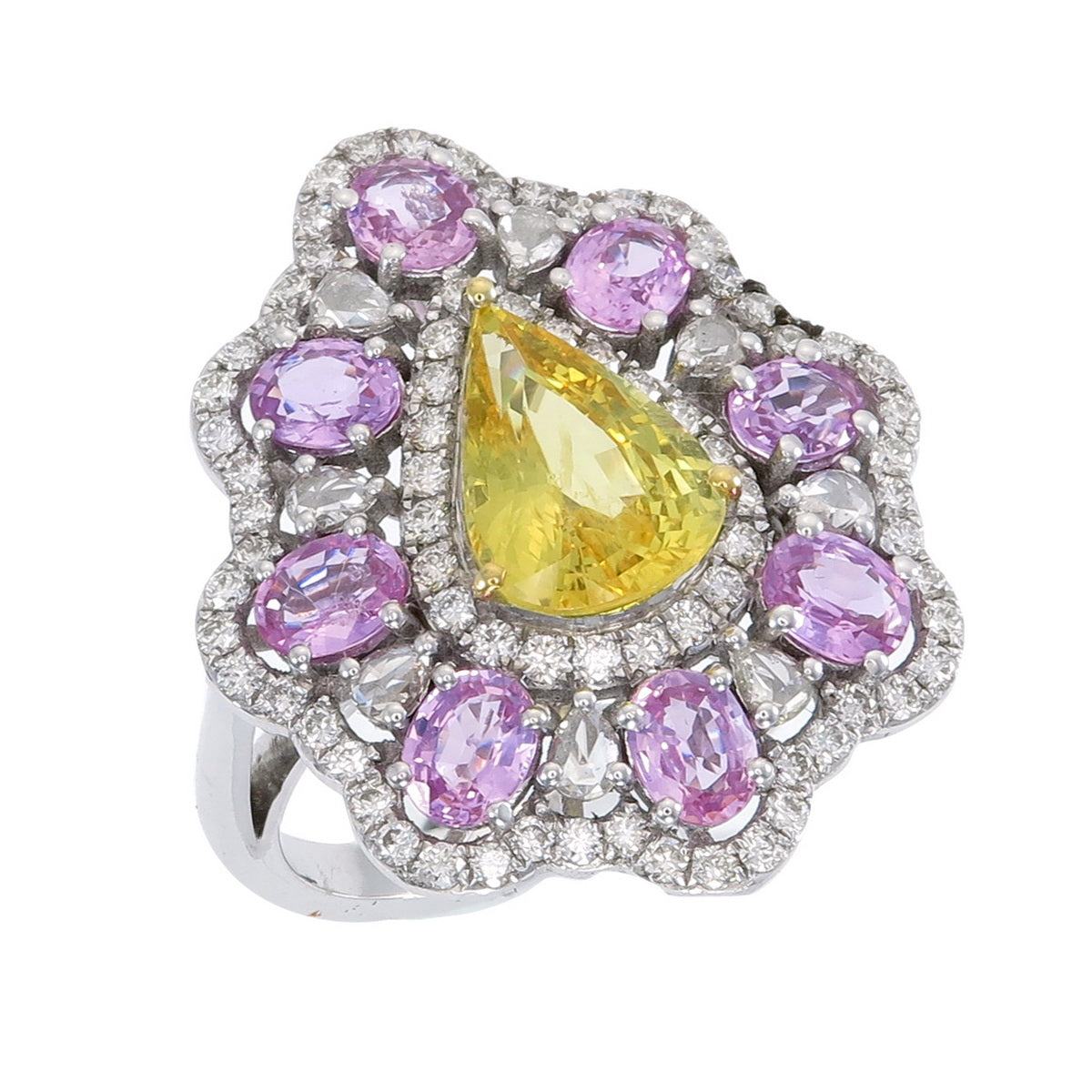 The Mimosa Ring