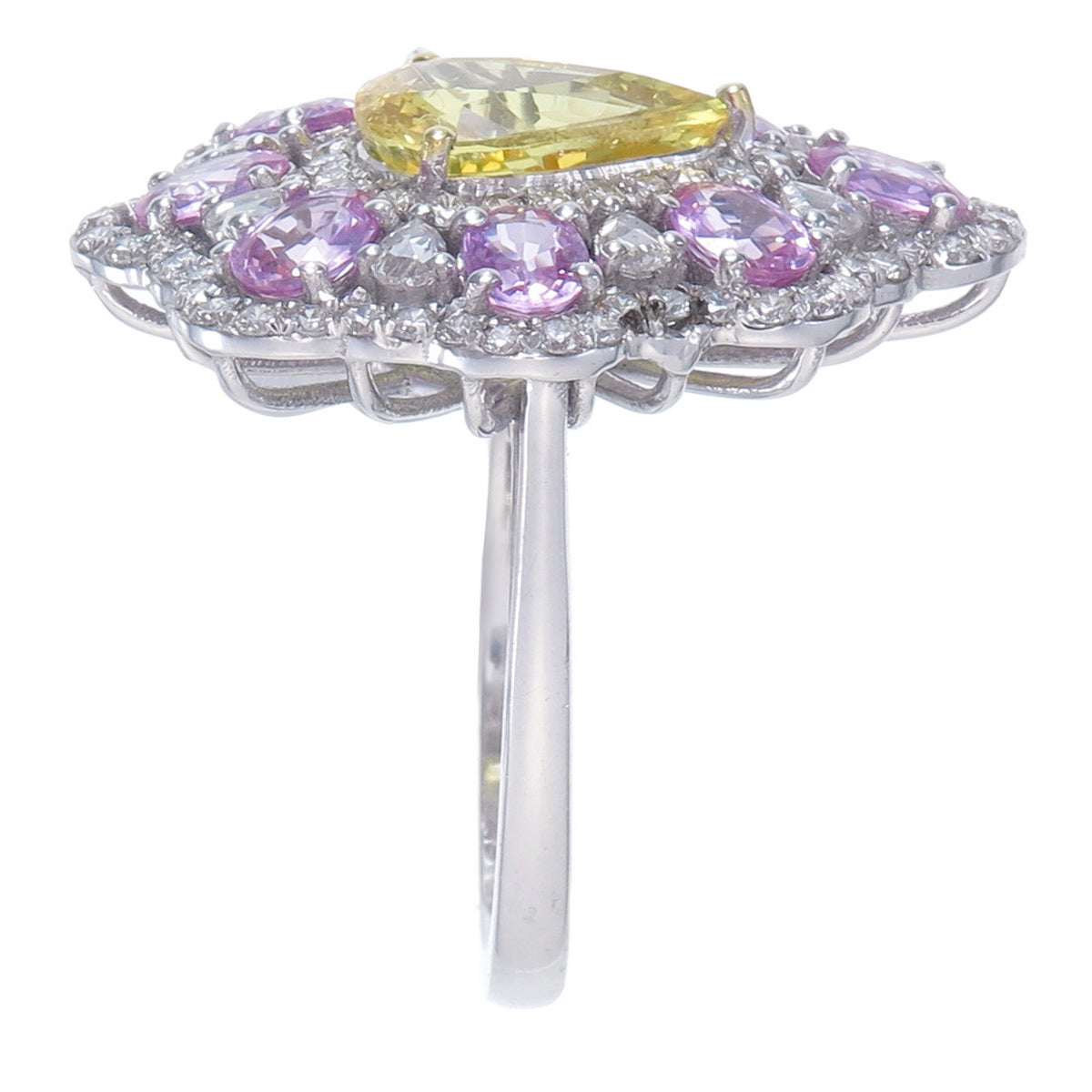 The Mimosa Ring