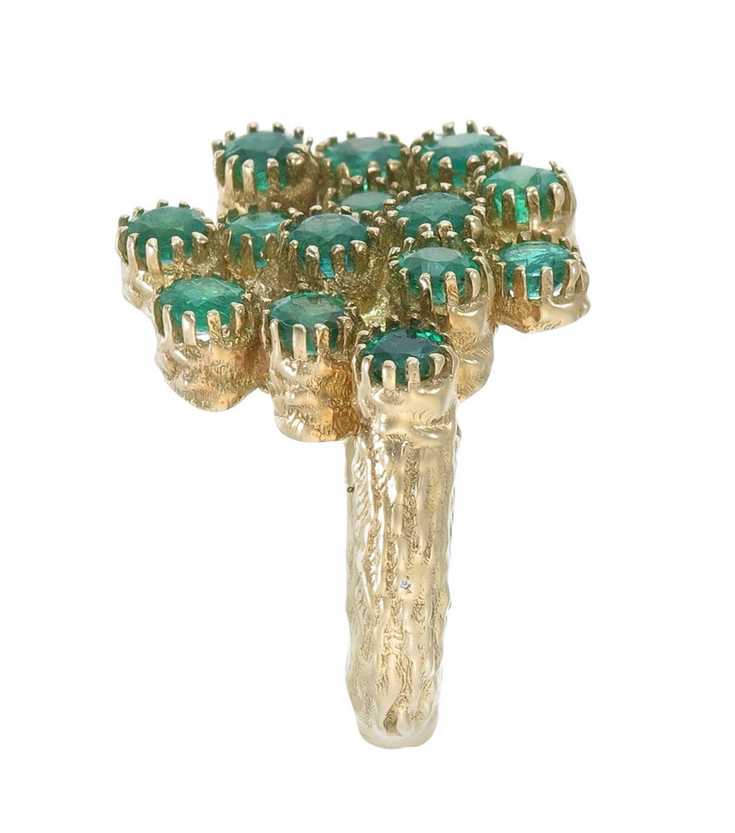 The Jardin Ring