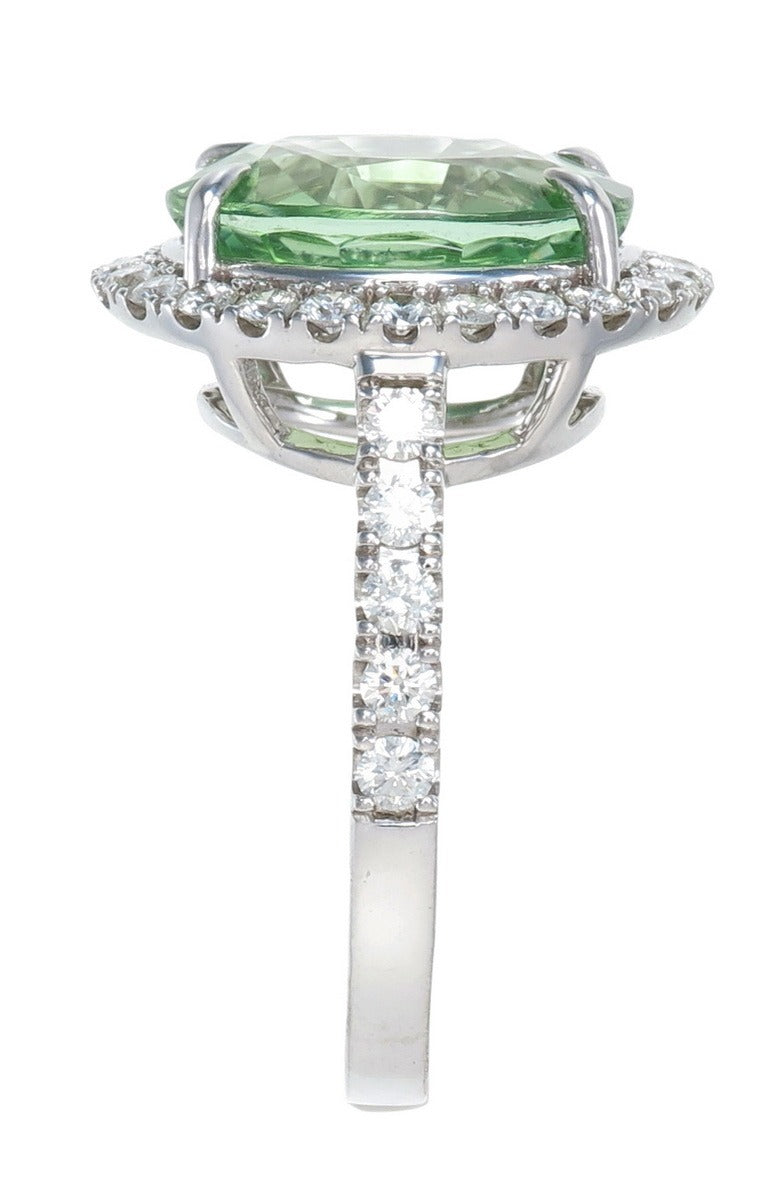 The Menthe Ring