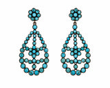 Oasis Drop Earrings