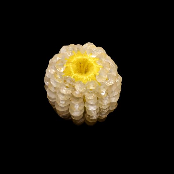 Lemon Quartz Semi Precious Stone Beaded Beads in 17x17mm Roundel Shape 